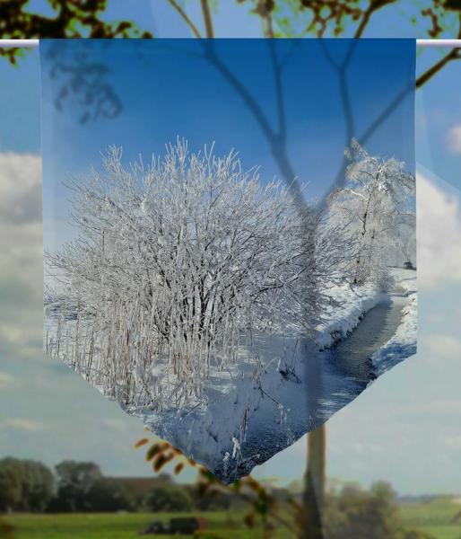 Am Winterbächle, Scheibenhänger spitz